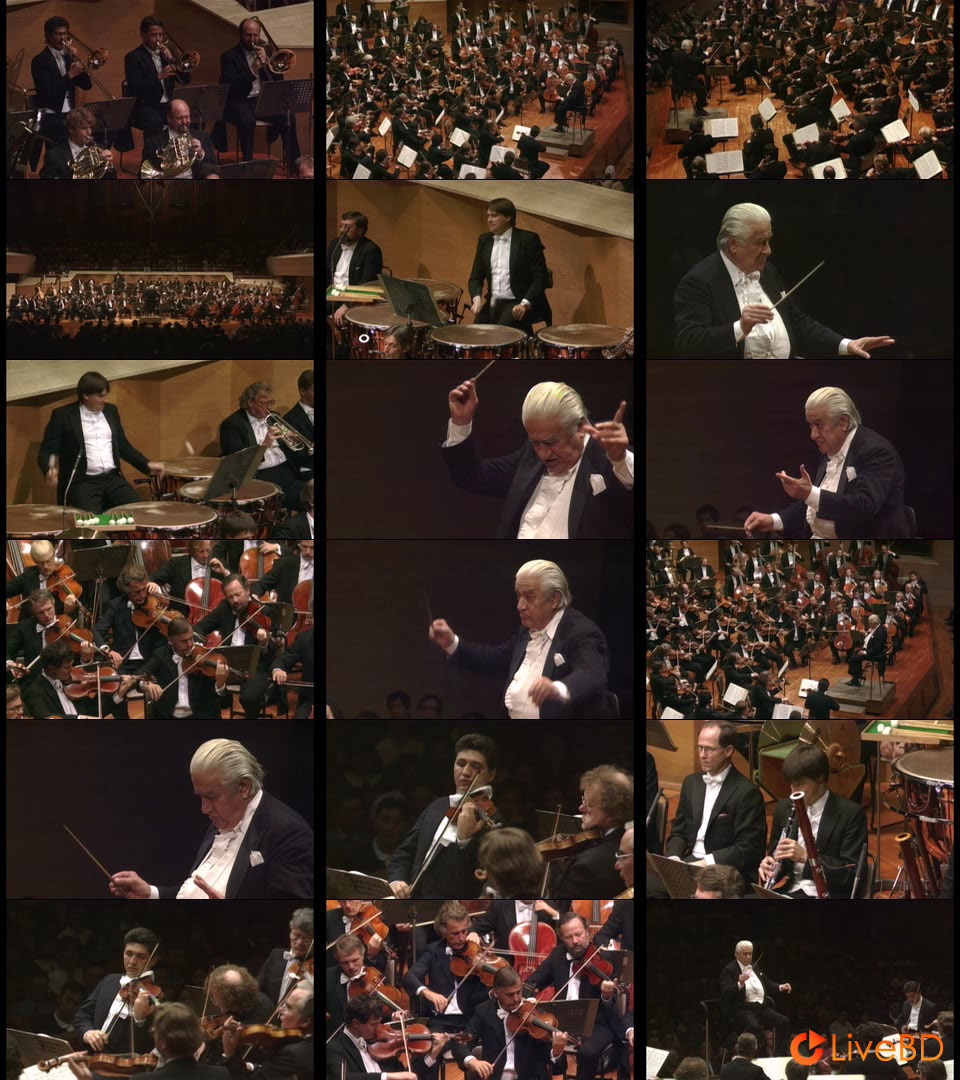 Sergiu Celibidache & Münchner Philharmoniker – Bruckner Symphony No.8 In C Minor (2021) BD蓝光原盘 22.2G_Blu-ray_BDMV_BDISO_2
