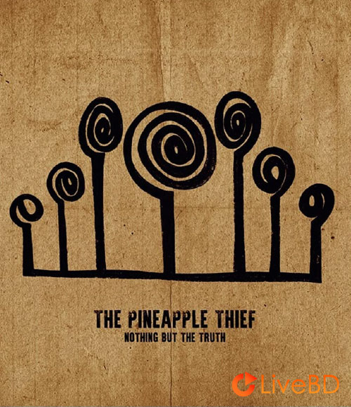 The Pineapple Thief – Nothing But The Truth (2021) BD蓝光原盘 38.7G_Blu-ray_BDMV_BDISO_