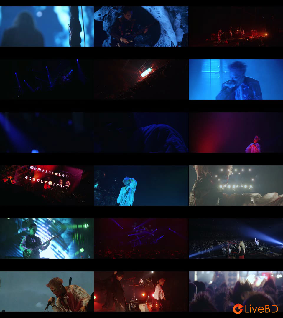 DIR EN GREY PHALARIS [完全生産限定盤] (2022) BD蓝光原盘 27.5G_Blu-ray_BDMV_BDISO_2