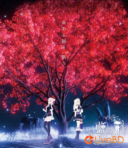 HIMEHINA LIVE 2021「藍の華」(2BD) (2022) BD蓝光原盘 81.1G_Blu-ray_BDMV_BDISO_